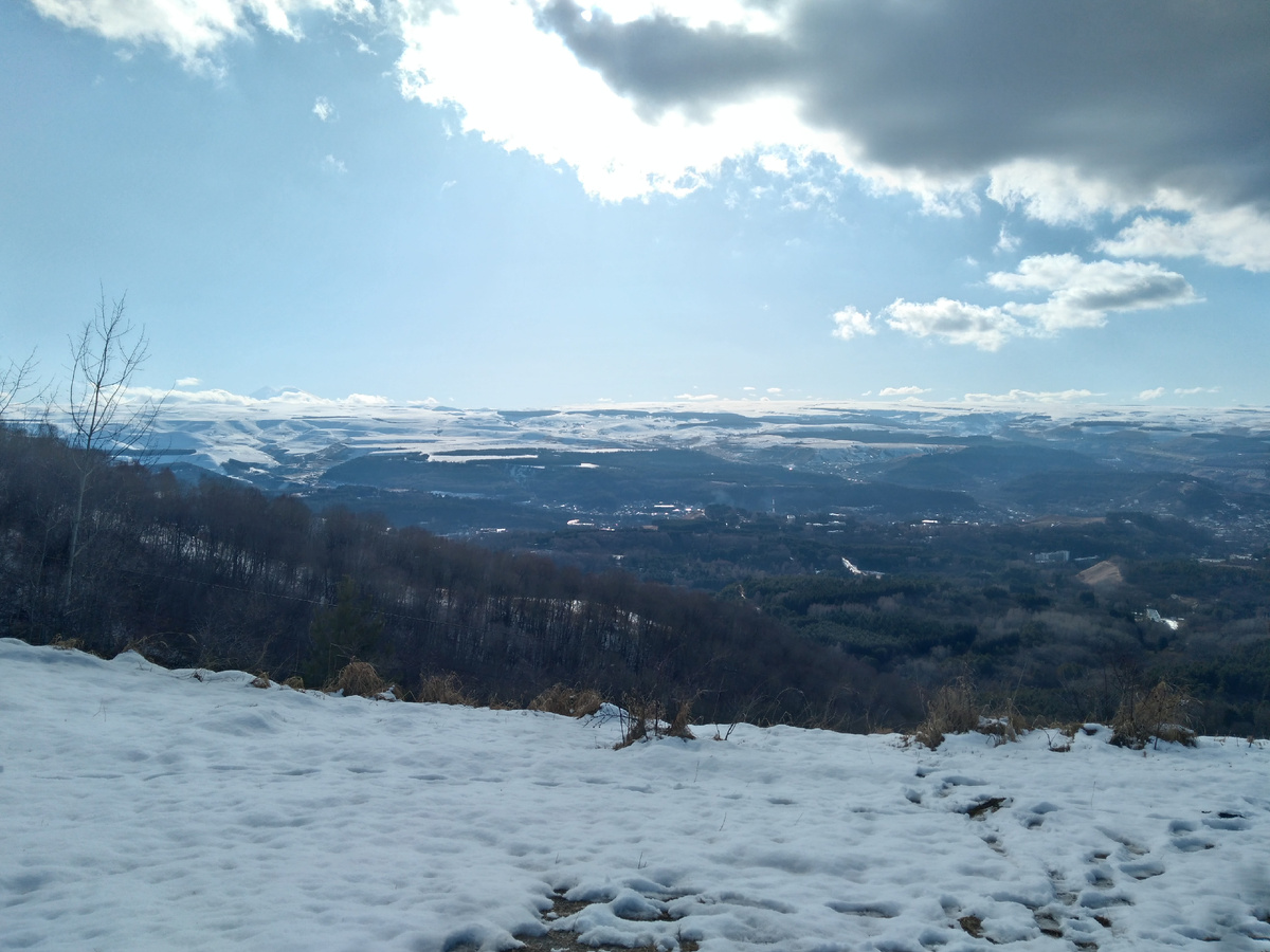 Зима в Кисловодске обычно малоснежная и мягкая. Источник фото: shutterstock.com