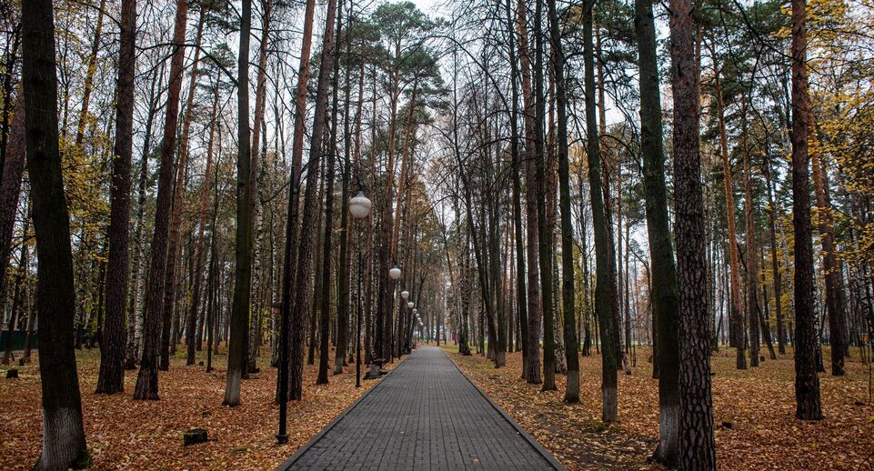    Медиасток.рф