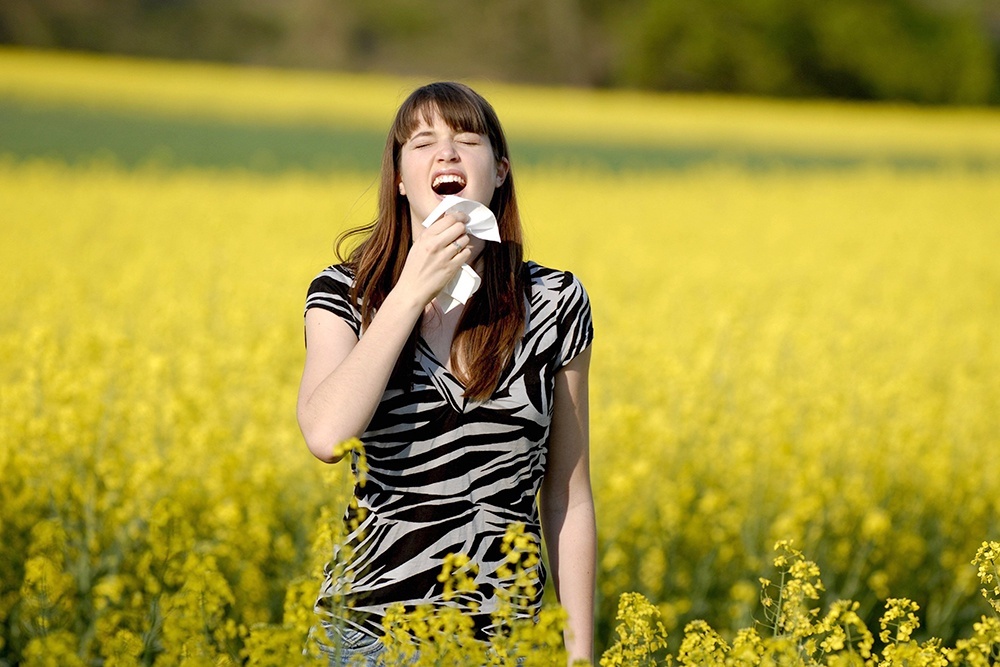   Аллергия представляет собой хроническое заболевание, которое окончательному излечению не поддается. / Фото: imago/blickwinkel / ТАСС