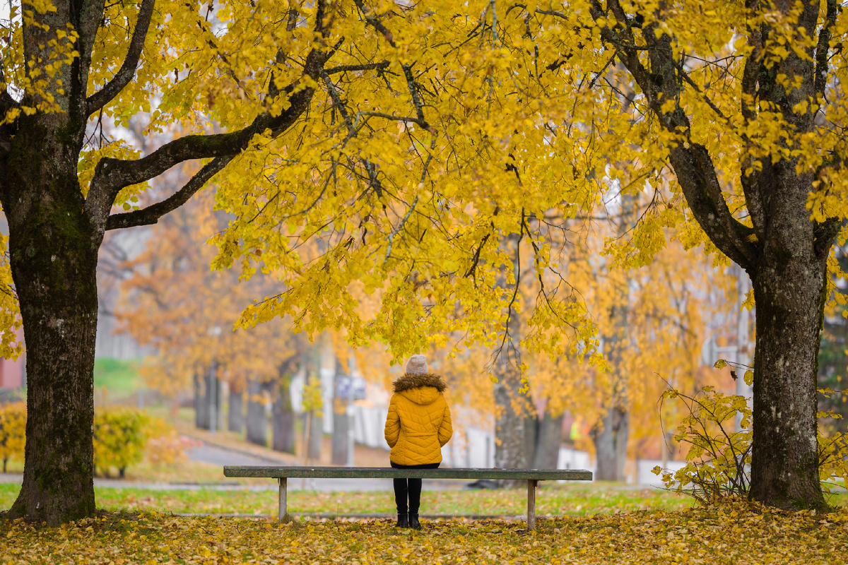 Фото: Shutterstock/FOTODOM
