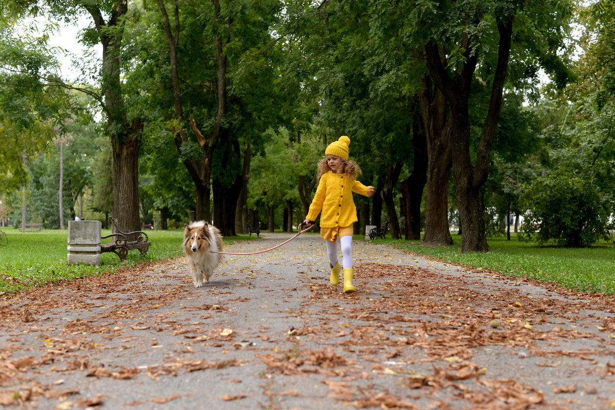 Фото: Shutterstock/FOTODOM