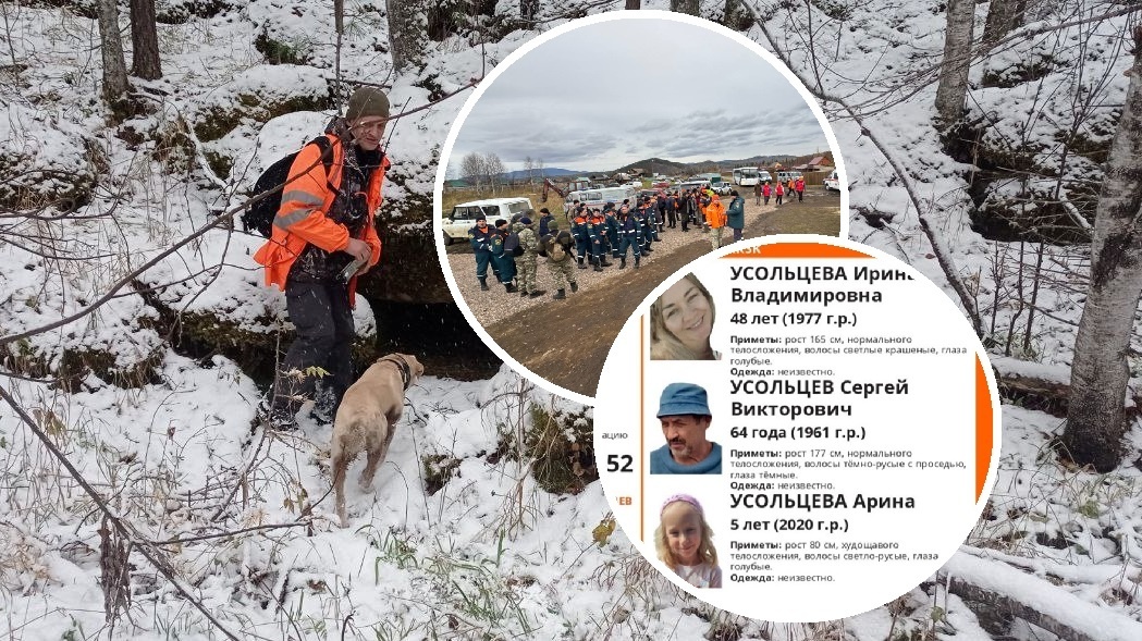 Фото: t.me/lizaalert24krsk / ДПСО «ЛизаАлерт» Красноярского края