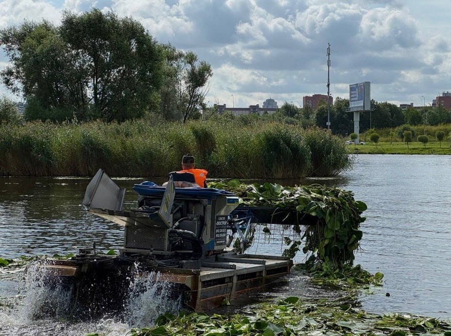 Автор фото: ecospbcom.RU