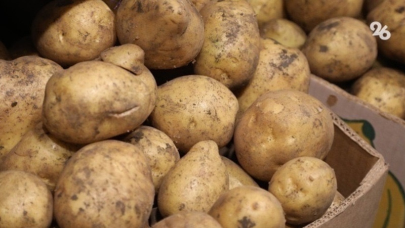      Фото: ИА «Победа26»