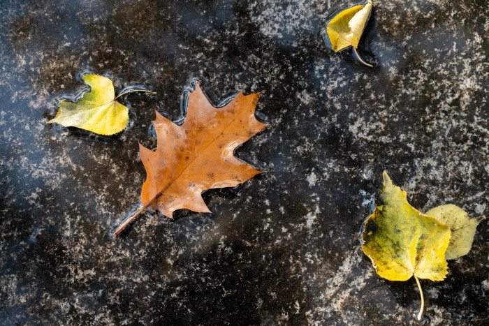 Магнитные бури ноября: какие испытания готовит Солнце и что делать метеочувствительным