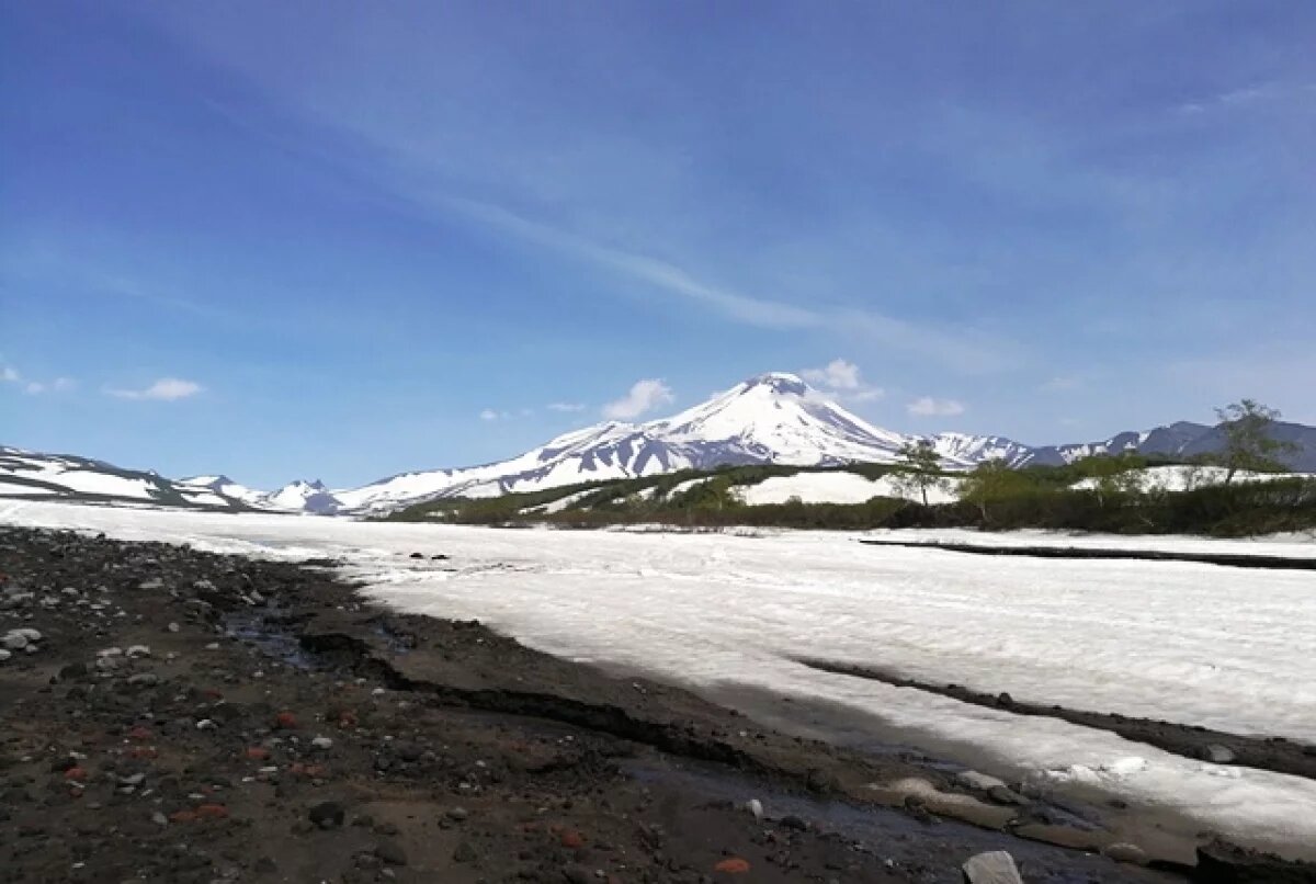    «Могли задохнуться».