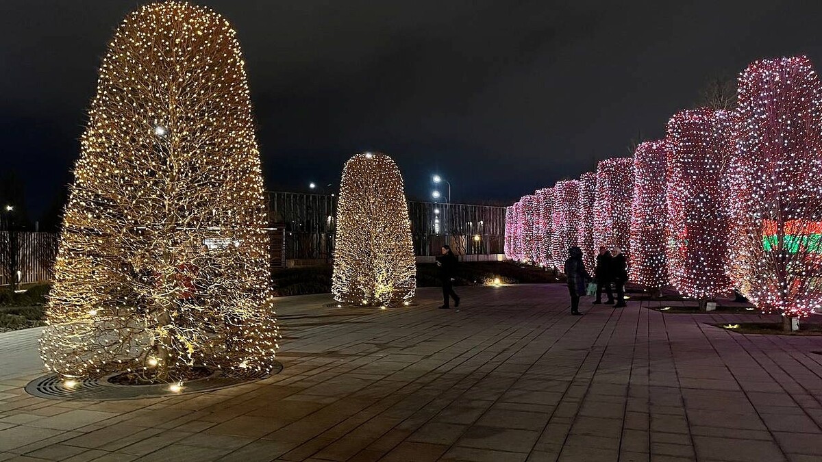    Фото: телеканал «Краснодар»