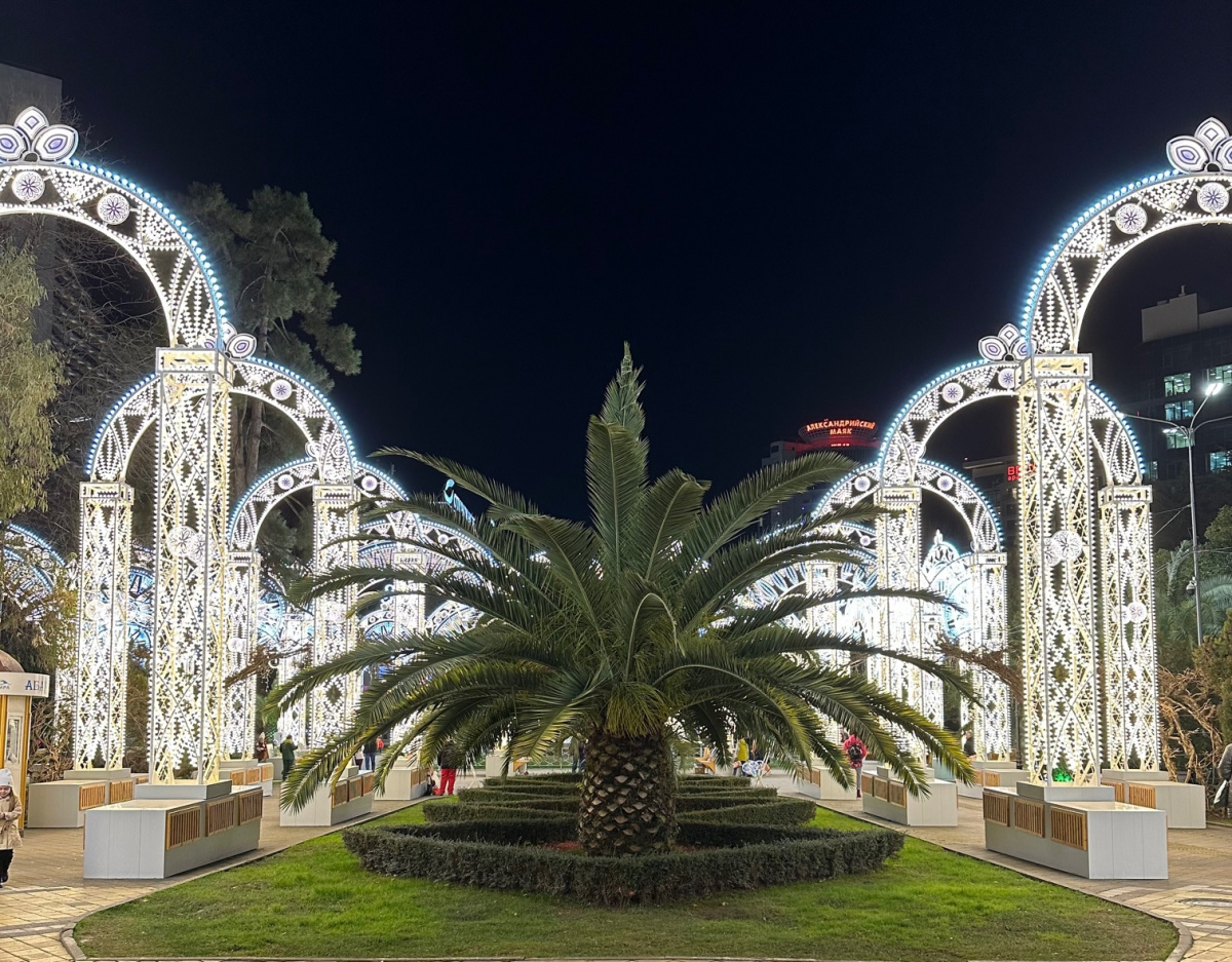 Планируете встретить Новый год в Сочи 2026? Рассказываем, как совместить праздничную программу у моря и в горах, куда пойти с детьми и где смотреть главный фейерверк, чтобы ничего не пропустить.