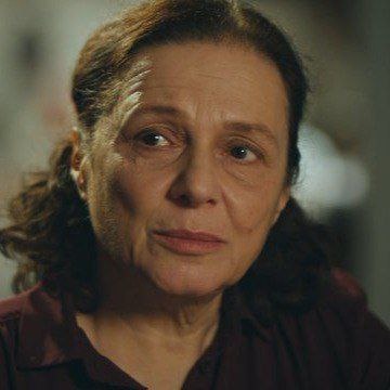 Фото из открытых источников интернета 