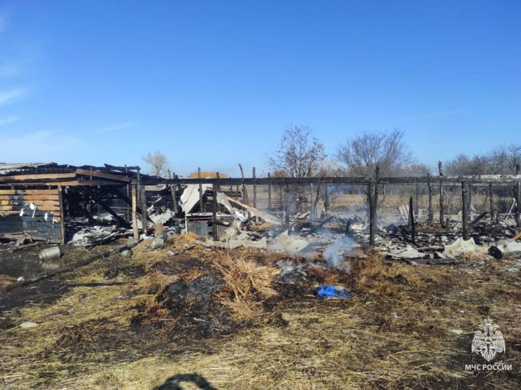    фото: ГУ МЧС по РО Редактор