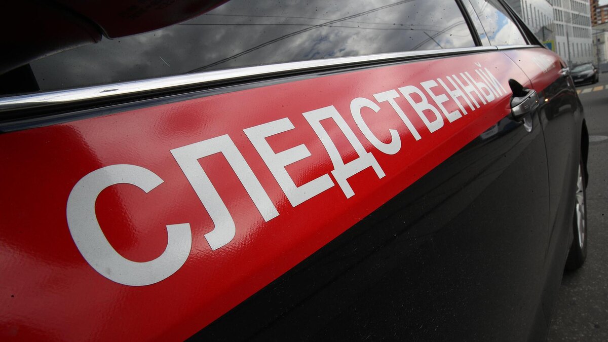    Фото: ИЗВЕСТИЯ/Зураб Джавахадзе