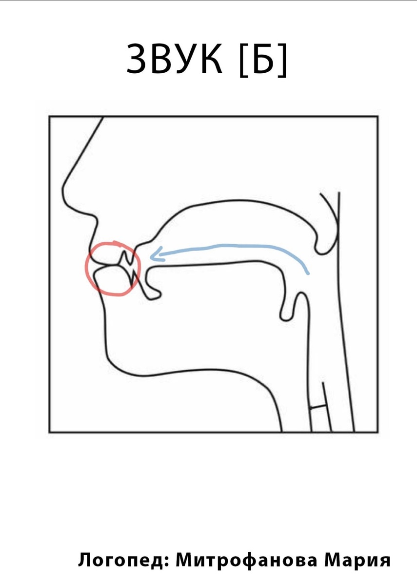 Артикуляция звука «Б». Изображение автора статьи