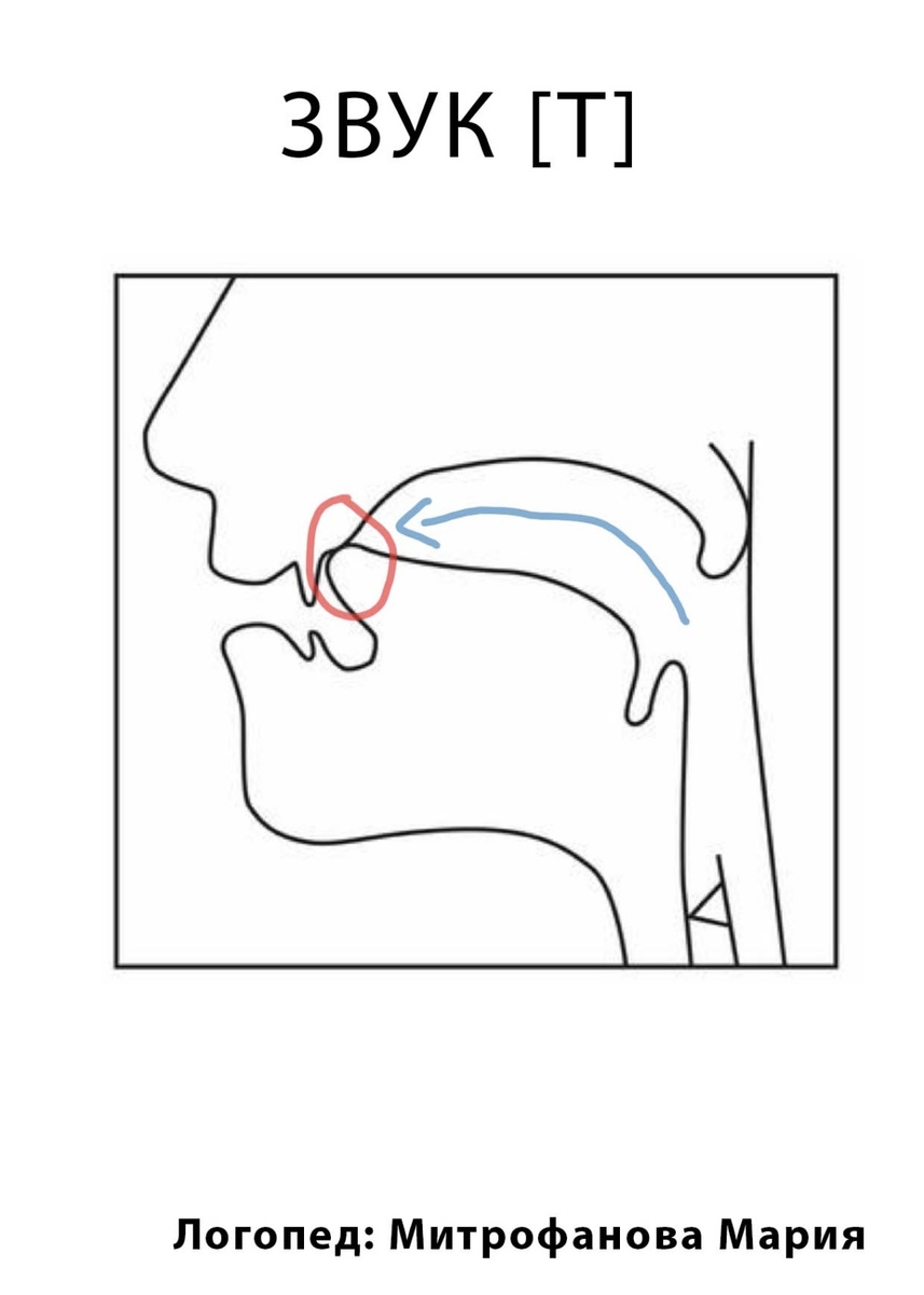 Артикуляция звука «Т». Изображение автора статьи 