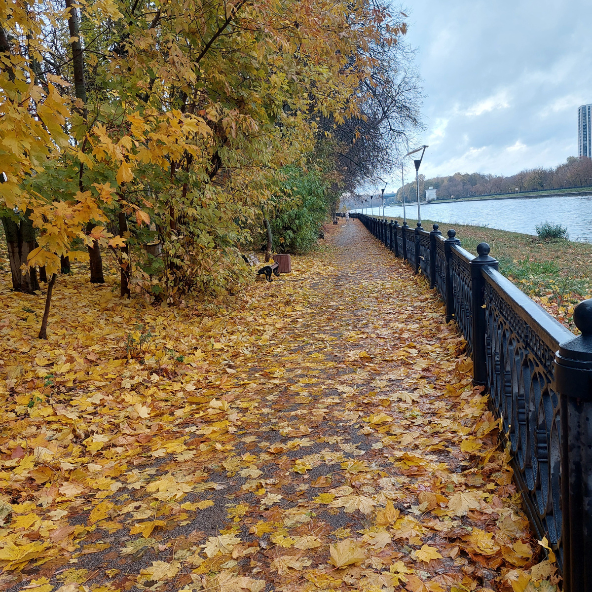 Фото автора.