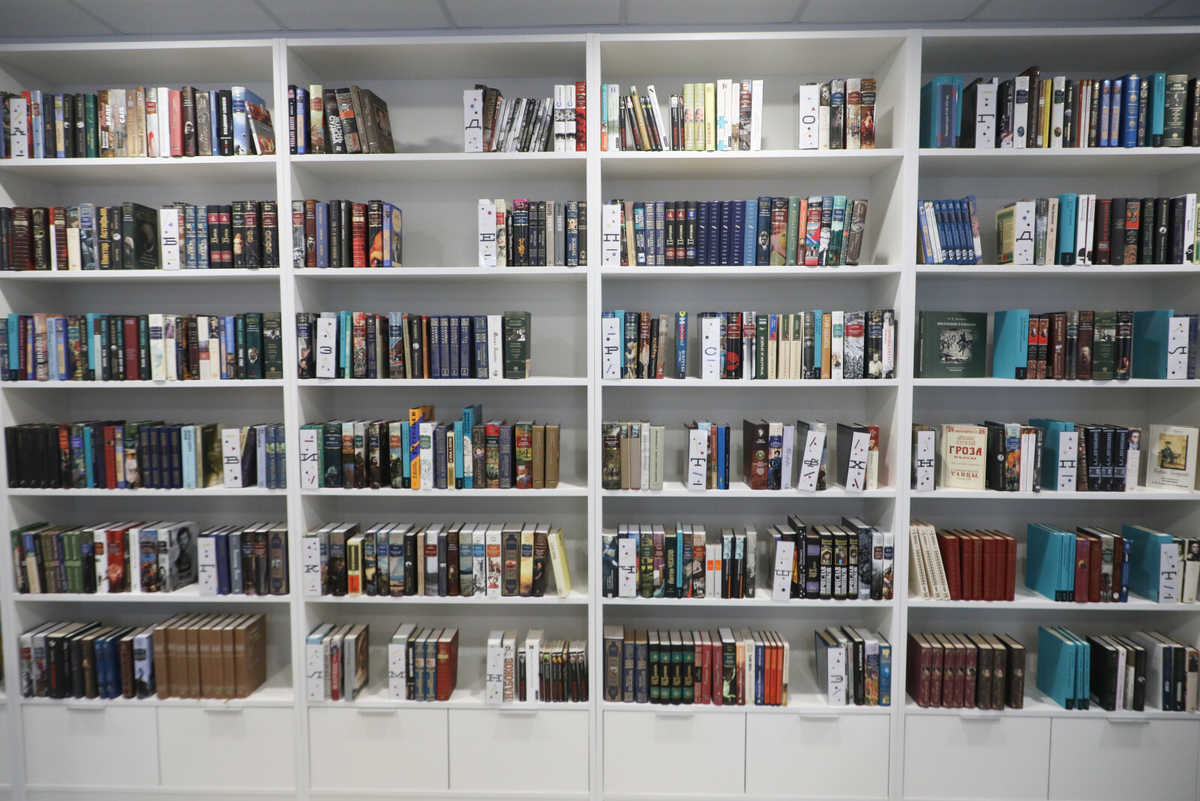 Фото: Александр Глуз / «Петербургский дневник»
