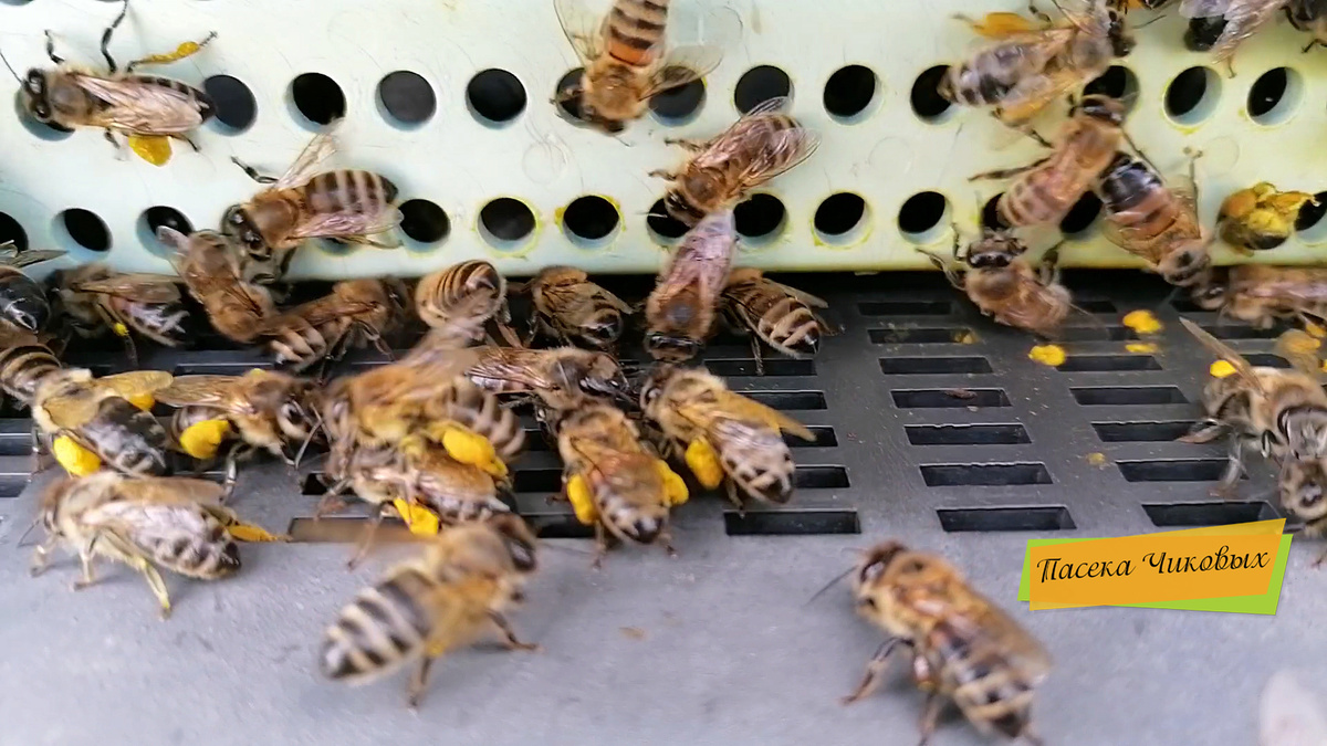 фото просто так