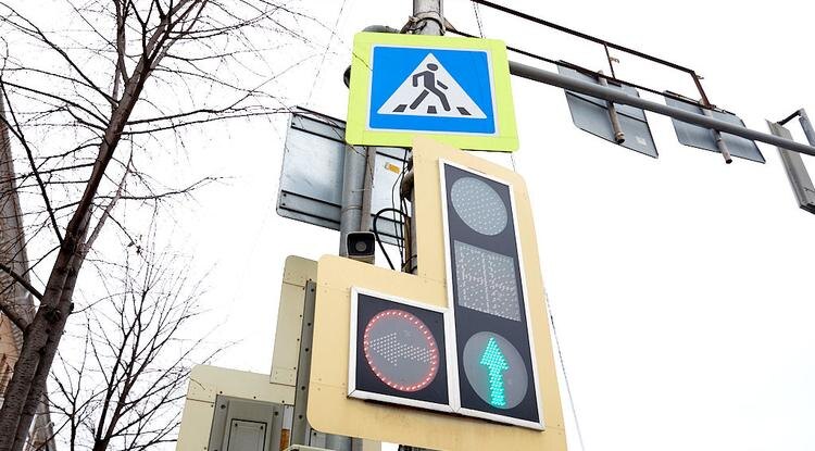 Фото: Елена Журавлёва (архив)