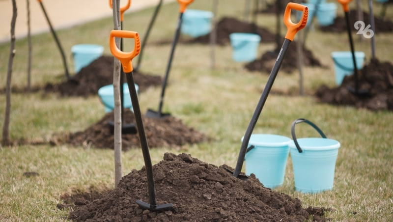      Фото: ИА «Победа26»