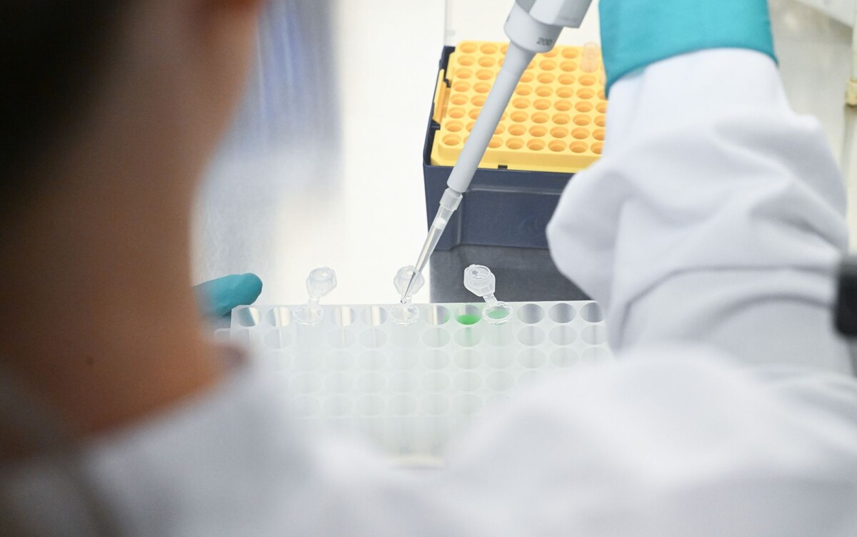     / Источник: © Bernd WeiÃŸbrod/dpa/Global Look Press