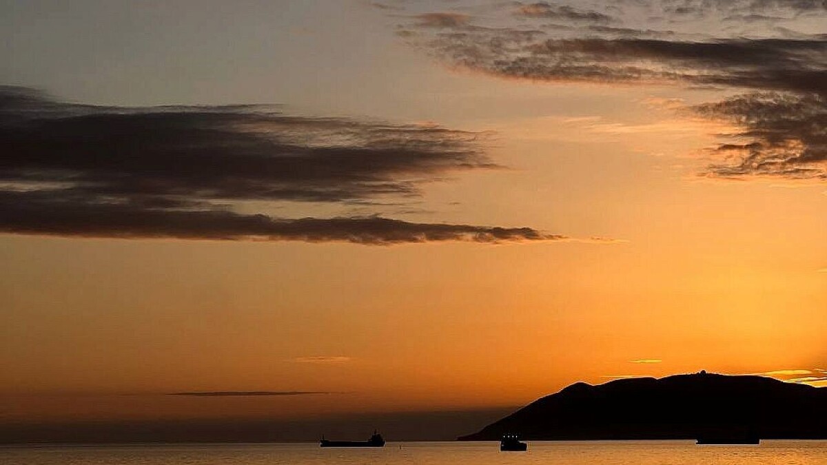    Фото: телеканал «Краснодар»