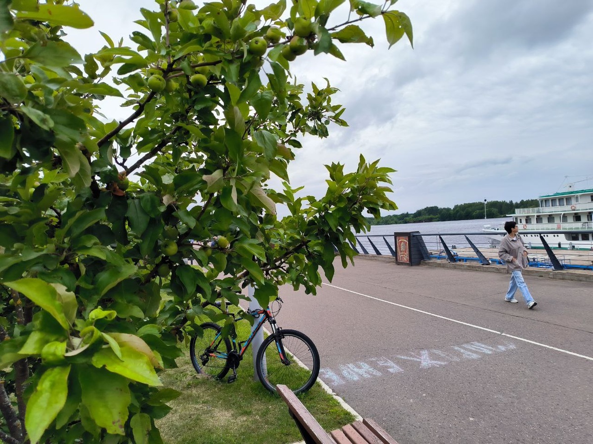 Набережная, велосипед и яблоки. Фото автора.