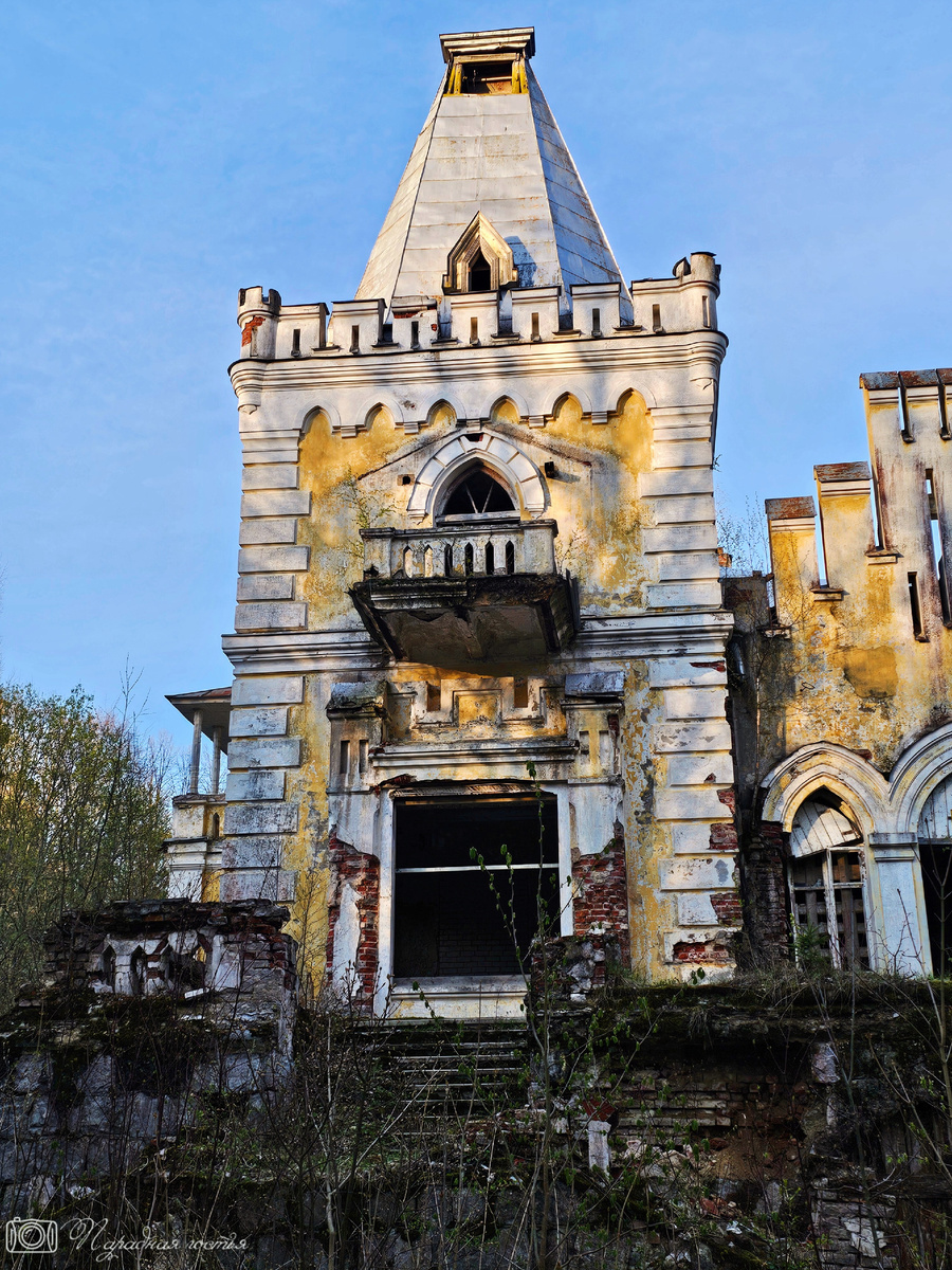 Замок может скоро совсем исчезнуть - состояние его печальное. Фото: Парадная гостья