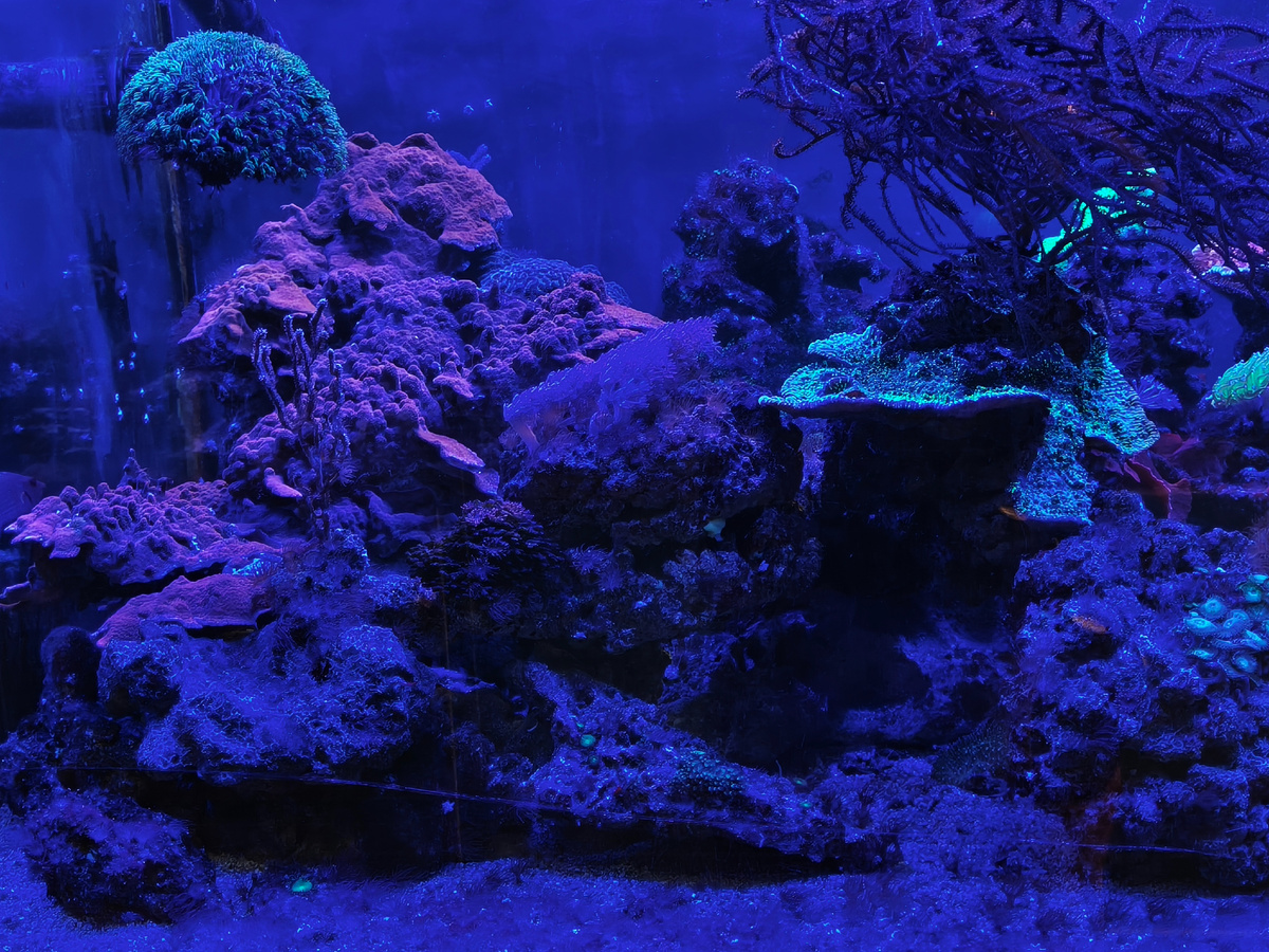 5 сентября 2025 года.