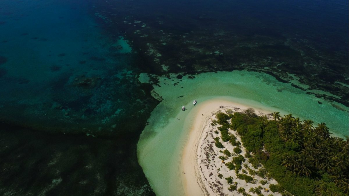 Остров Пальмира: таинственный атолл в Тихом океане, легенды и исчезновения, (источник: blog.kombat-tour.ru)