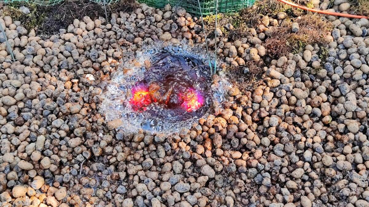 Фонтанчик днём