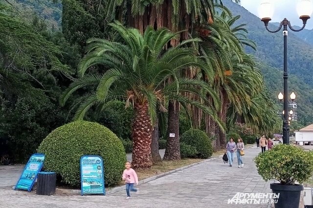    В Абхазии. Фото: АиФ/ Ольга Коробова
