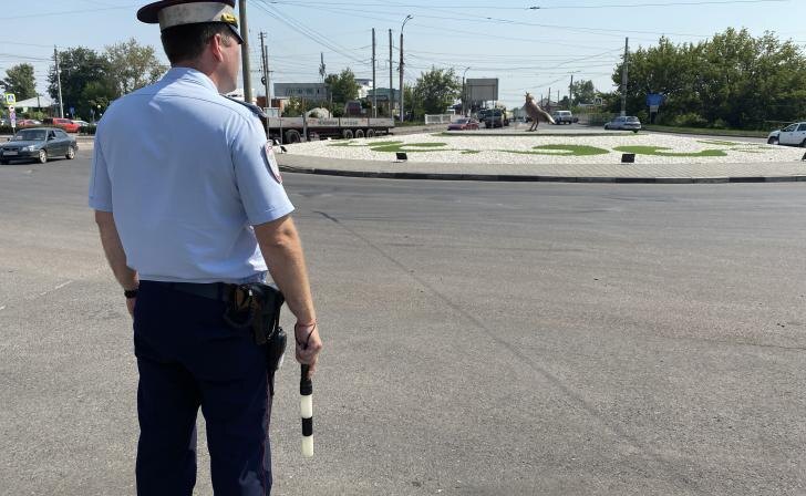    фото Курские Известия