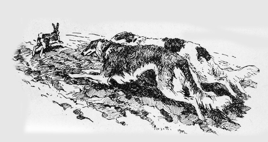 рис. из открытых ист.