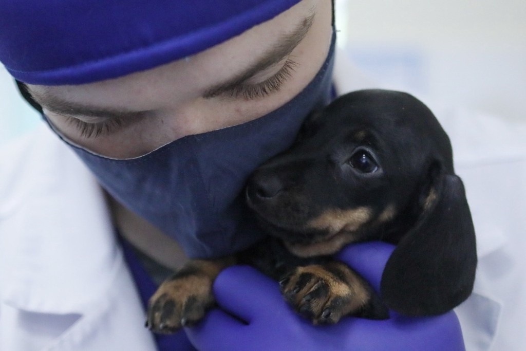    Фото © АГН «Москва» / Софья Сандурская