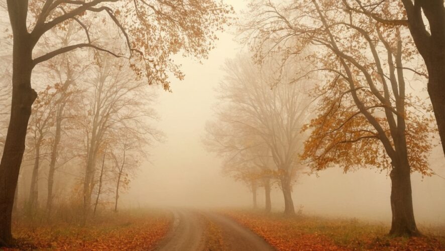    Фото: создано ИИ