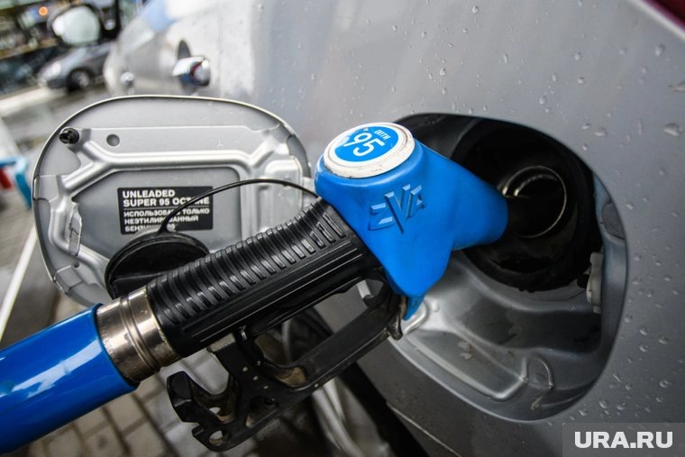     Цены на бензин находятся на контроле у правительства, заявила глава ЦБ