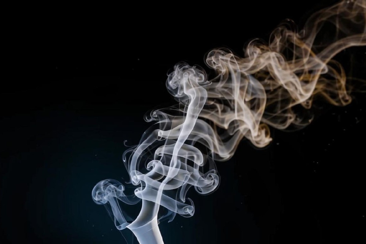    Фото: Шедеврум