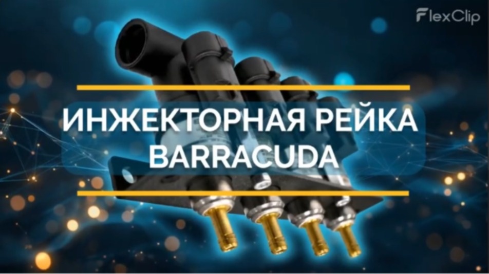 ИНЖЕКТОРНАЯ РЕЙКА BARRACUDA