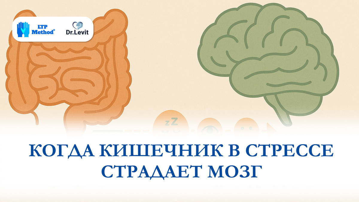 Проблемы с пищеварением влияют на настроение, внимание и речь.