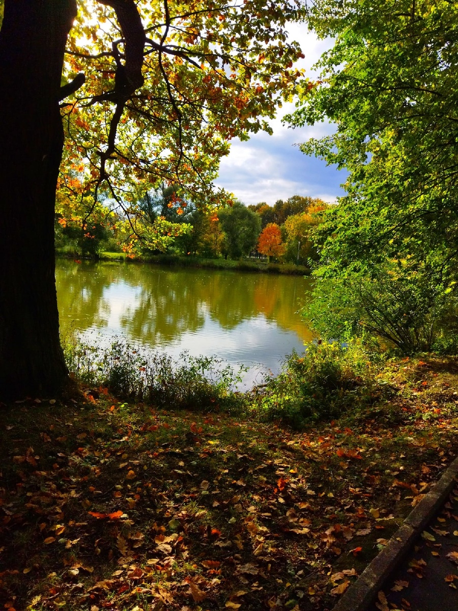 Пруд на территории усадьбы 