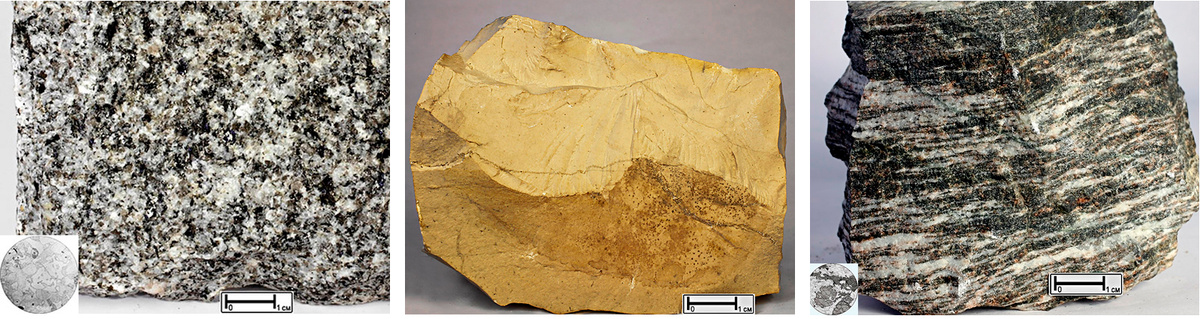 Горные породы: магматические (гранит), осадочные (известняк), метаморфические (сланцы). Изображения минералов взяты из справочника-определителя ВСЕГЕИ rockref.vsegei.ru