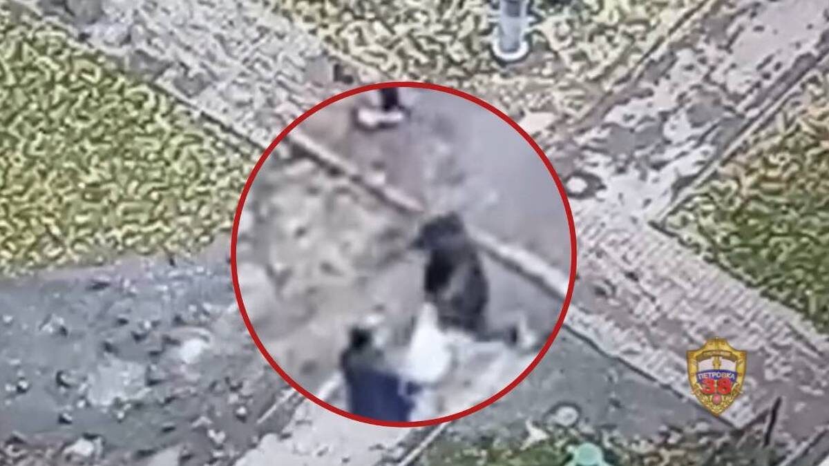    Фото: скриншот с видео / пресс-служба ГУ МВД России по городу Москве