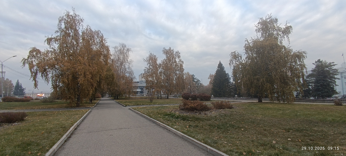 Где-то на просторах моего города. Фотография автора, октябрь 2025 года