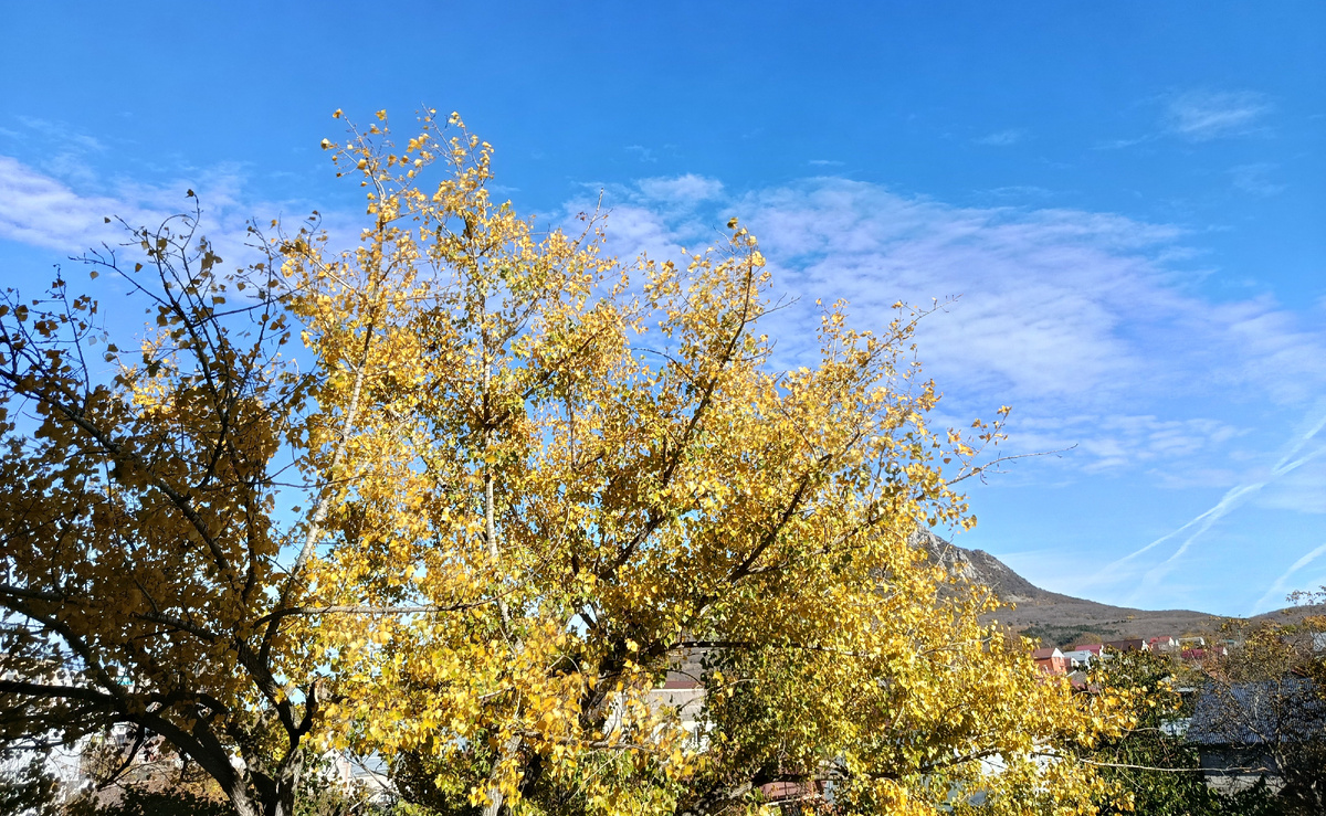 Солнечный день октября.