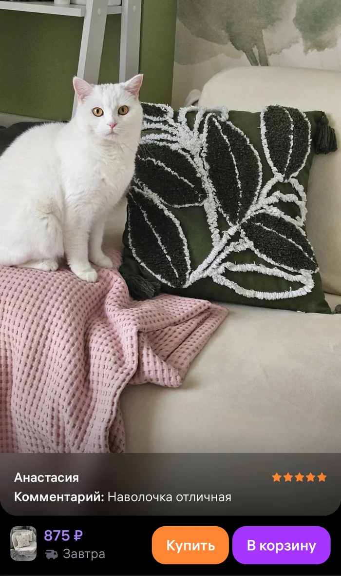 Кошку будто под интерьер подбирали