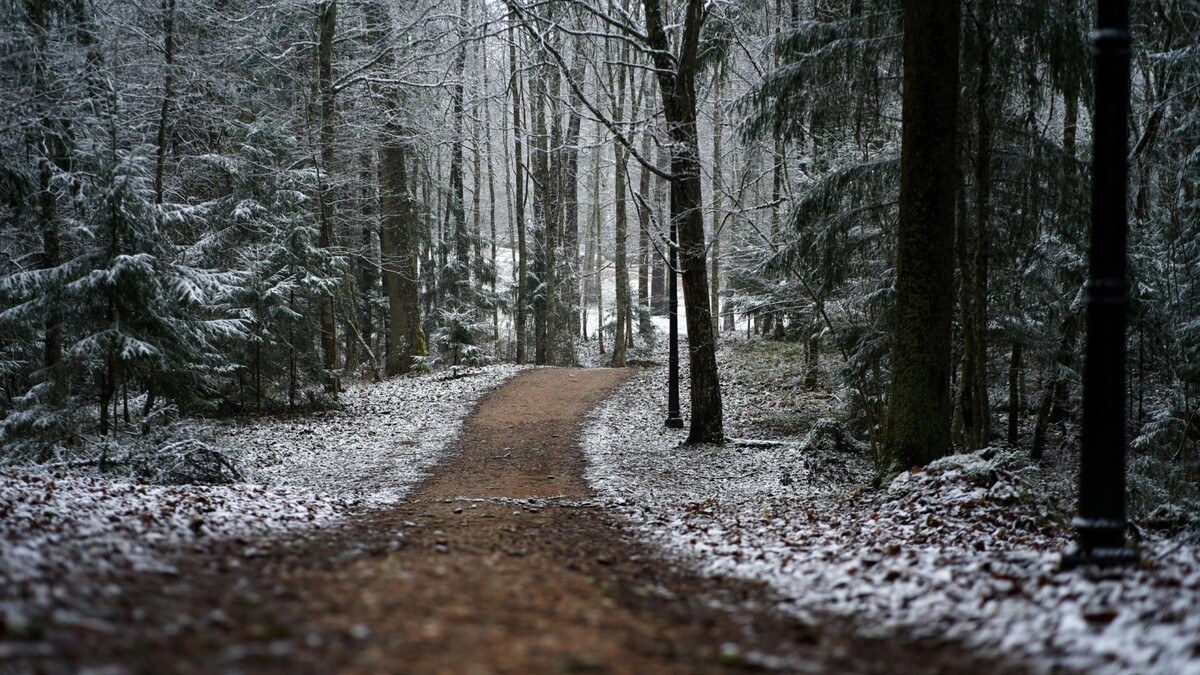    Фото: nadia_if/Shutterstock/Fotodom