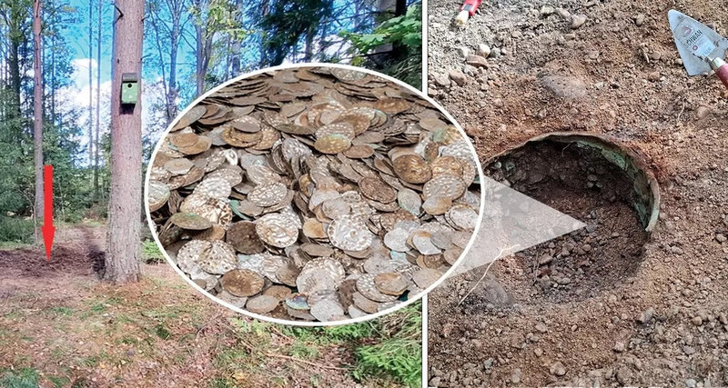    В Швеции раскрыли тайну находки сенсационного клада