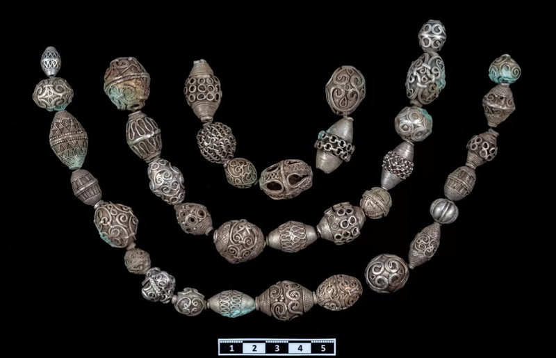    В Швеции раскрыли тайну находки сенсационного клада