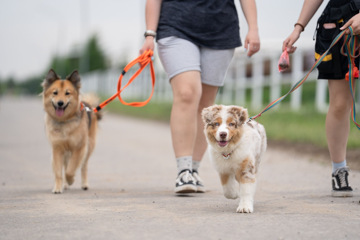 Фото: Александр Плонский / «ВиЖ