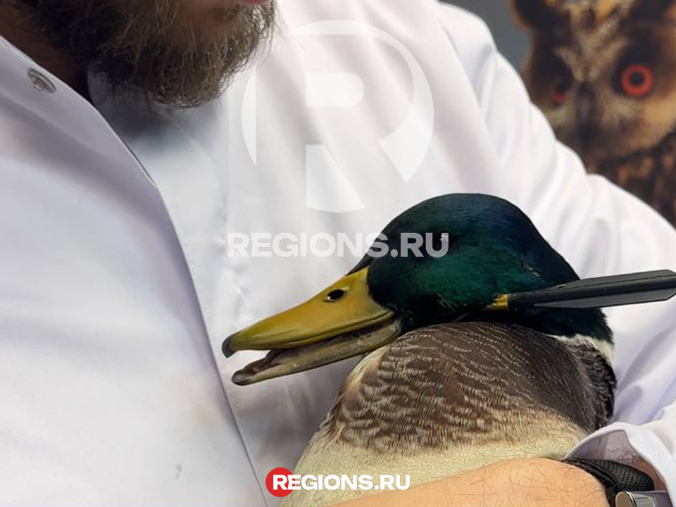    Фото: личный архив Ивана Краснова