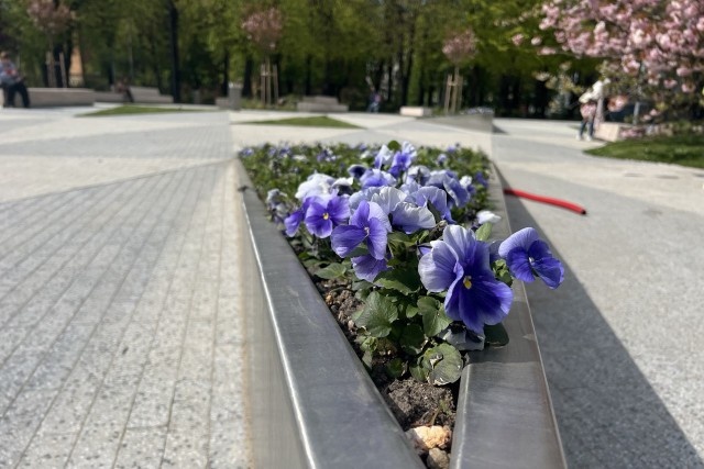   Фото из архива Калининград.Ru